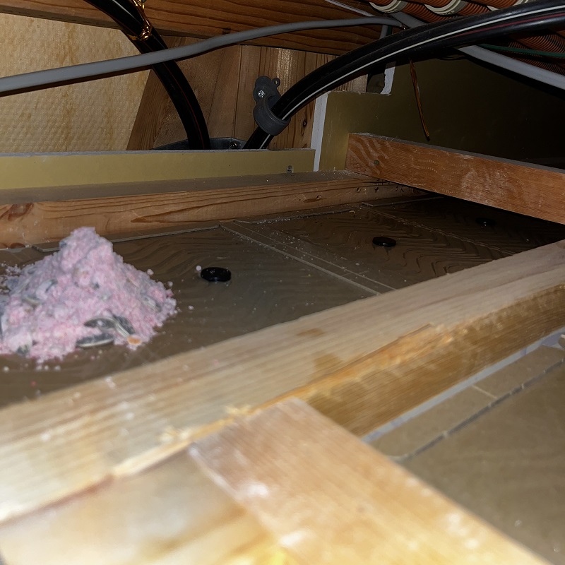 屋根裏にも殺鼠剤を設置