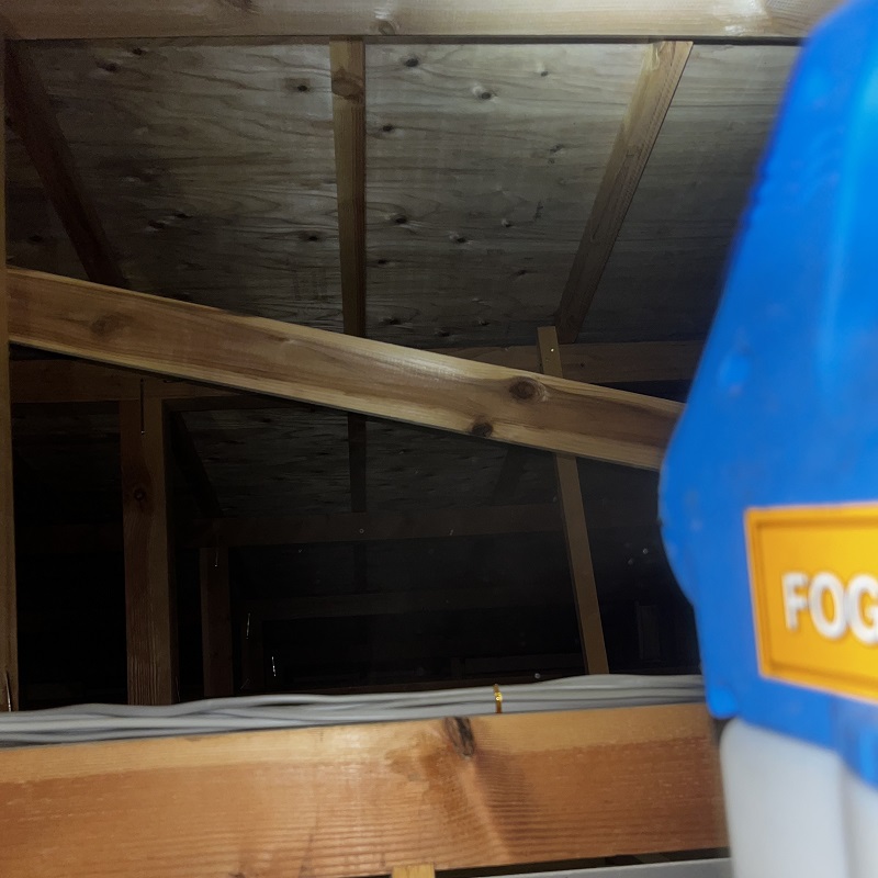 屋根裏の殺虫処理をする様子