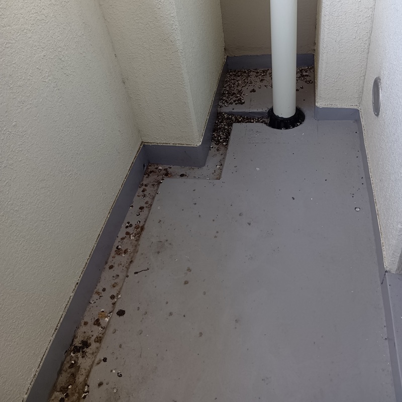 鳩対策の施工事例（静岡県浜松市中央区砂山町）