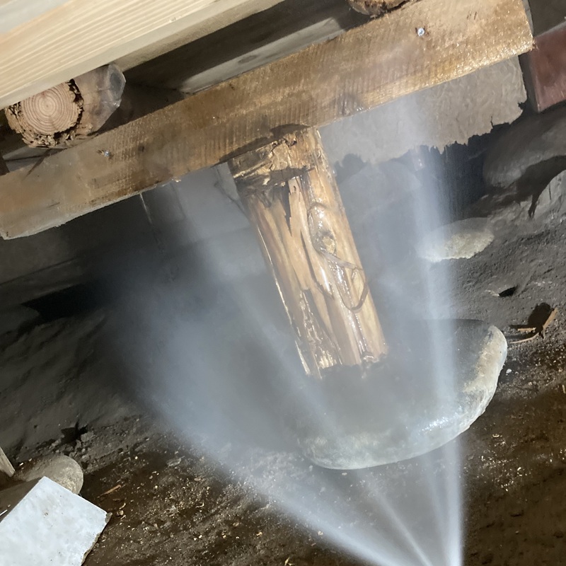 木部にシロアリ駆除剤を散布する様子