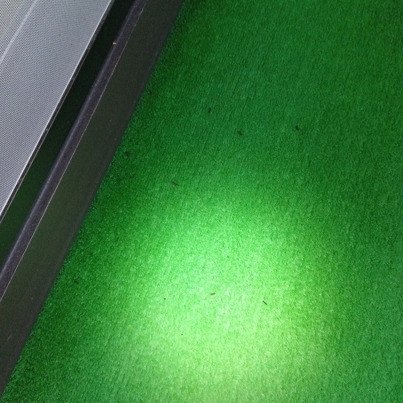 コウモリ駆除の施工事例（新潟県妙高市高柳）