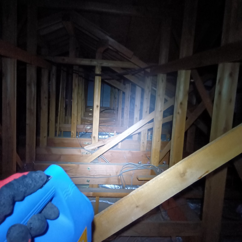 天井裏の殺虫処理の様子