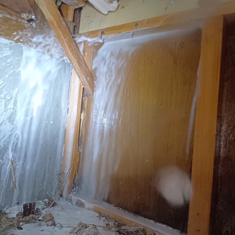 床下の木部にシロアリ駆除剤を吹き付け