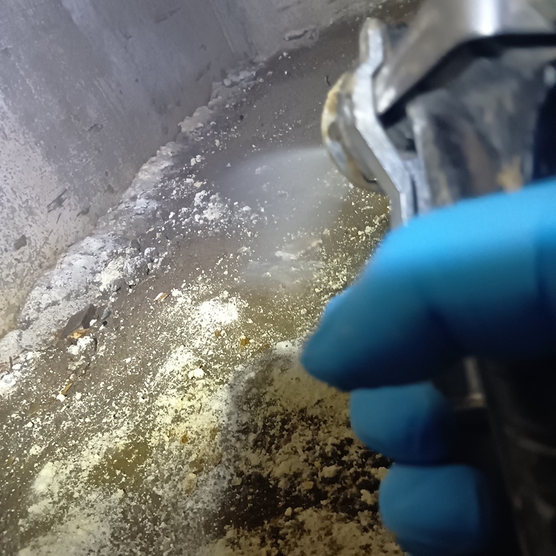 床下の地面に駆除剤を散布する様子