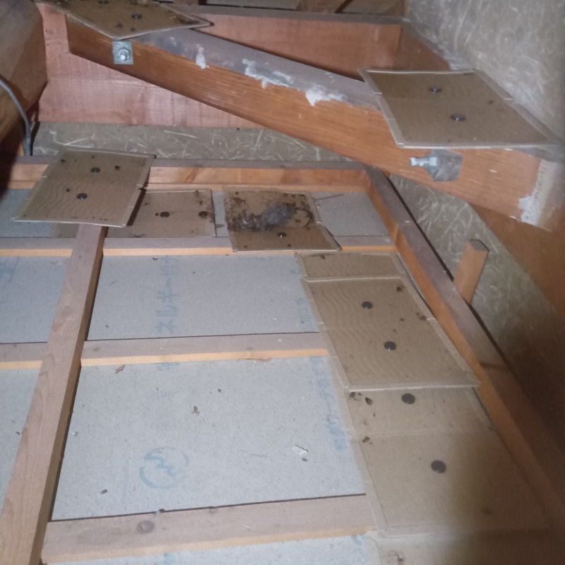 屋根裏に粘着シートを設置した様子