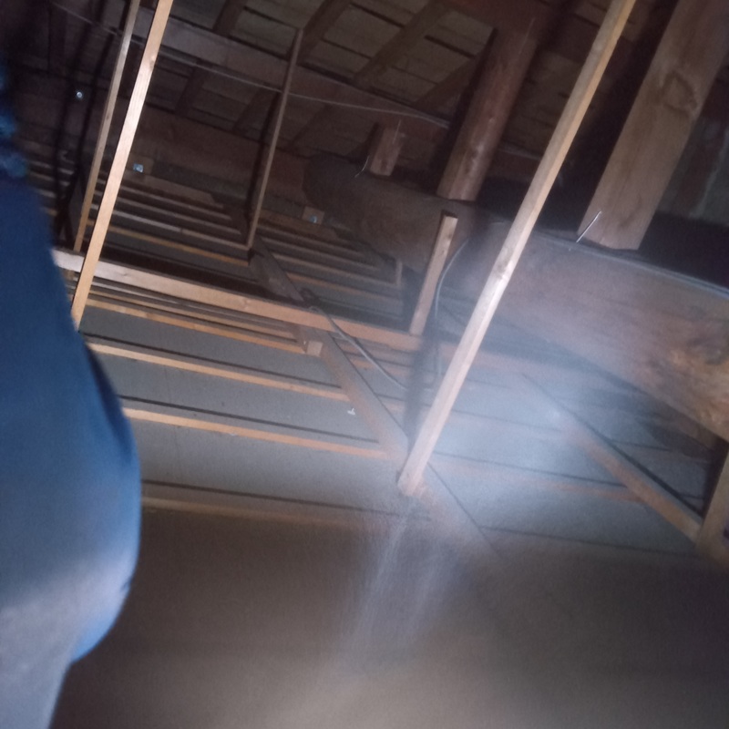 屋根裏に忌避剤を散布する様子