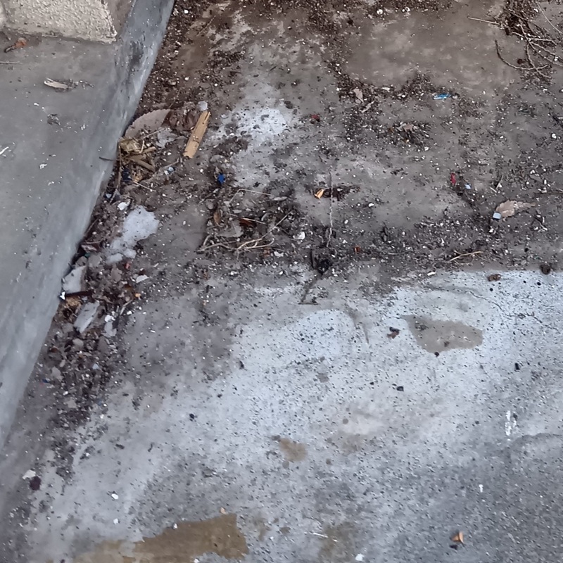 鳩対策の施工事例（栃木県宇都宮市）