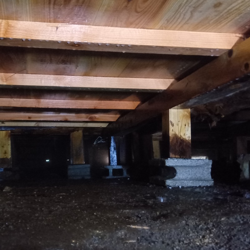 土壌処理後の床下