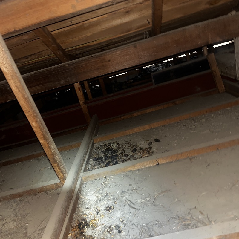 ネズミ駆除の施工事例（埼玉県さいたま市見沼区）