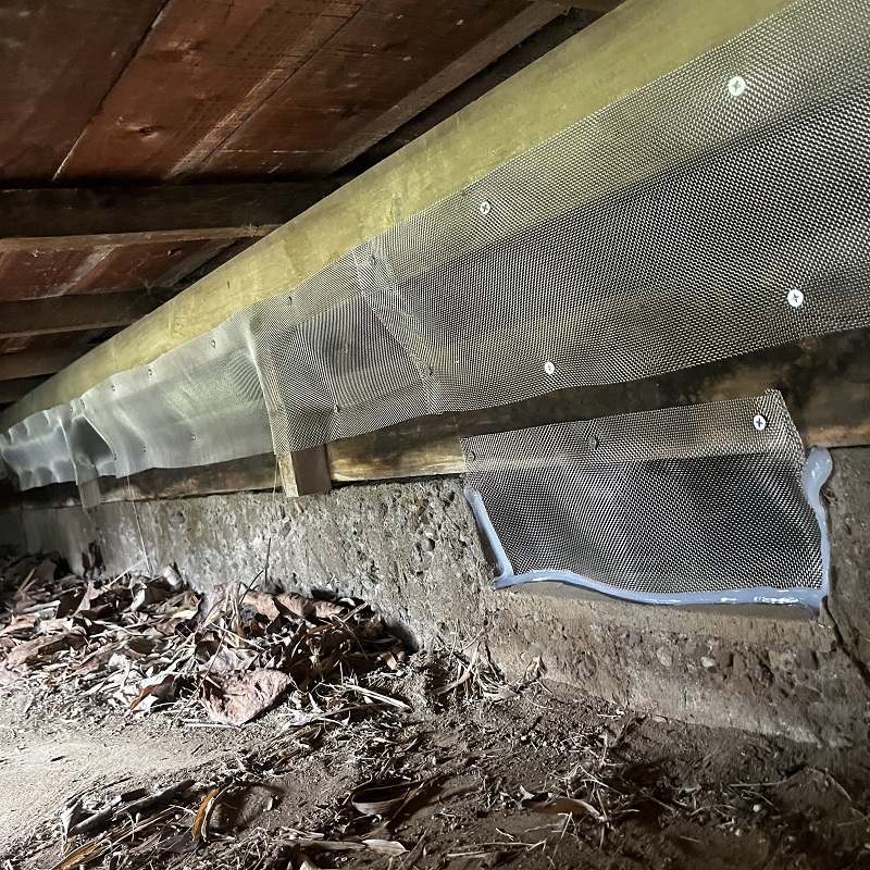 ネズミの侵入口を封鎖