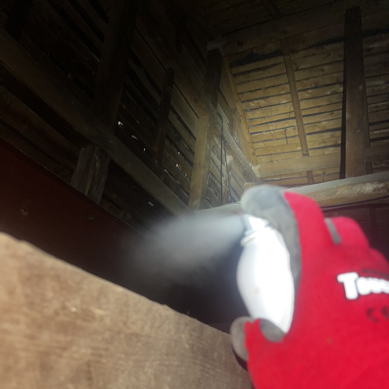 天井裏の殺虫処理の様子