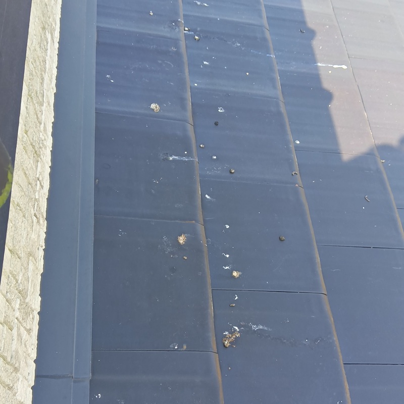 鳩対策の施工事例（徳島県徳島市国府町観音寺）