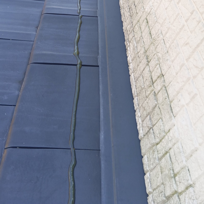 屋根に忌避剤を設置した様子