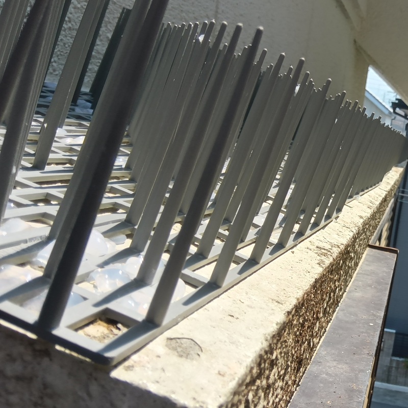 ひさしに剣山を設置した様子