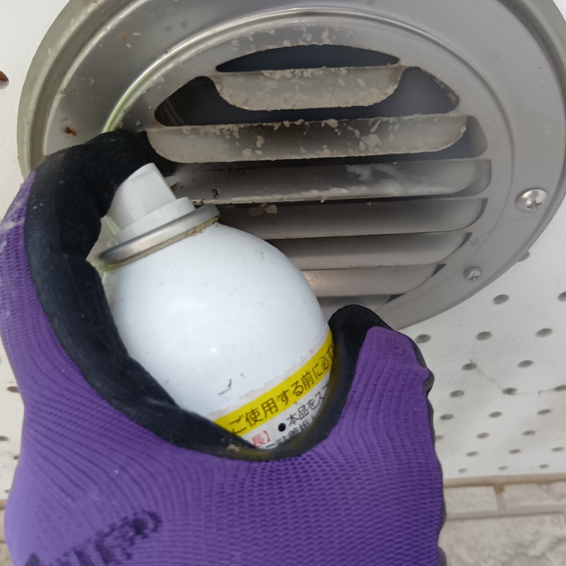 天井通気口に忌避剤を散布する様子