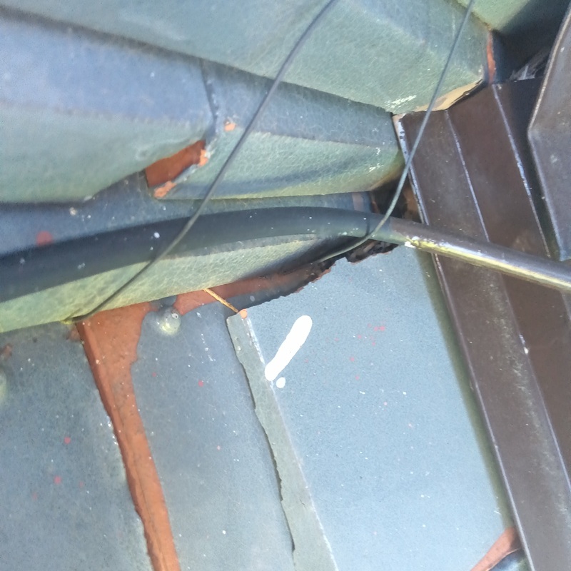 イタチ駆除の施工事例（愛知県新城市一鍬田）