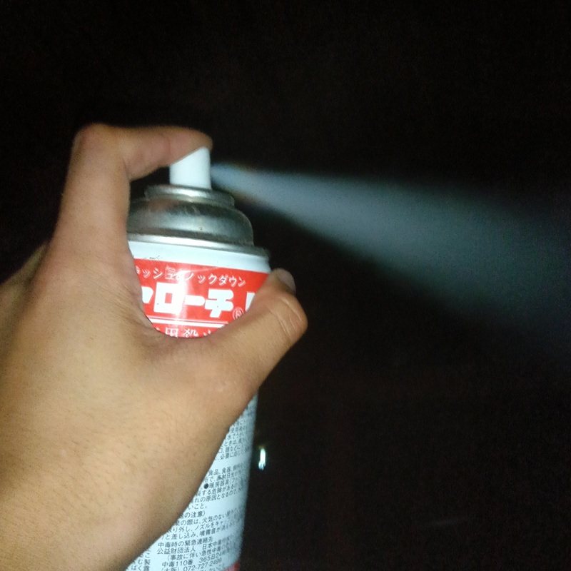 屋根裏に殺虫剤を散布する様子