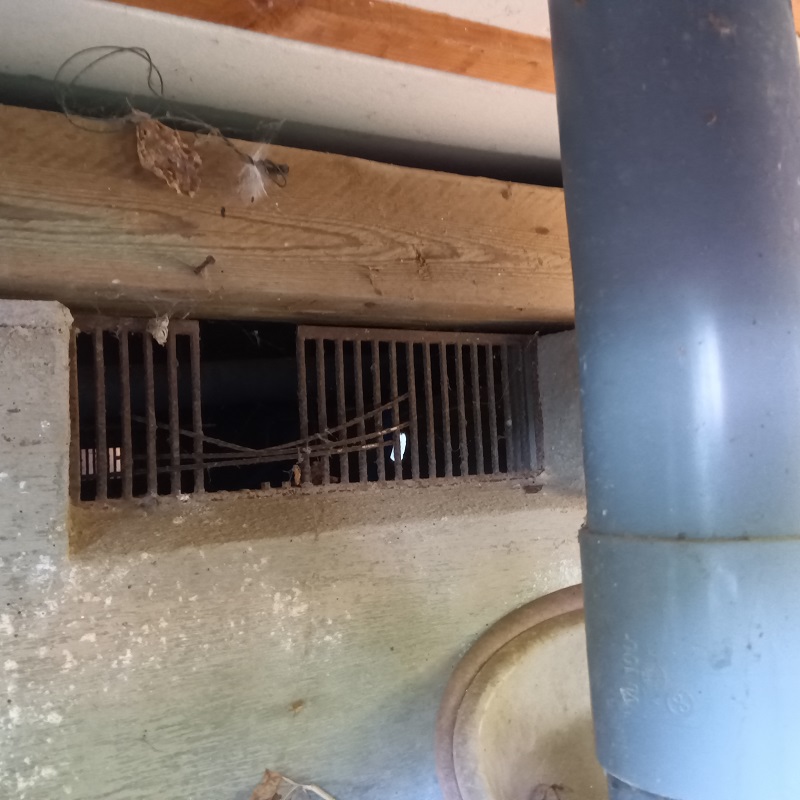 ネズミ駆除の施工事例（新潟県阿賀野市福永）