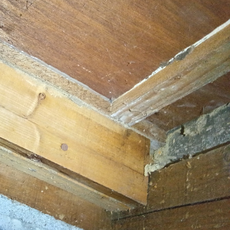 築年数32年のシロアリ駆除の施工事例（徳島県徳島市沖浜東）