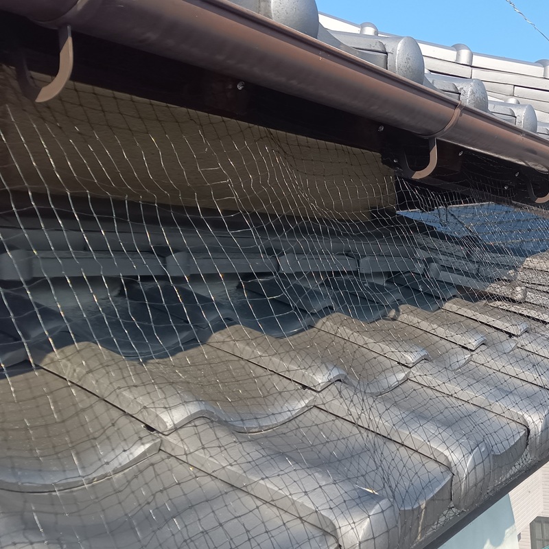 軒に防鳥ネットを設置した様子