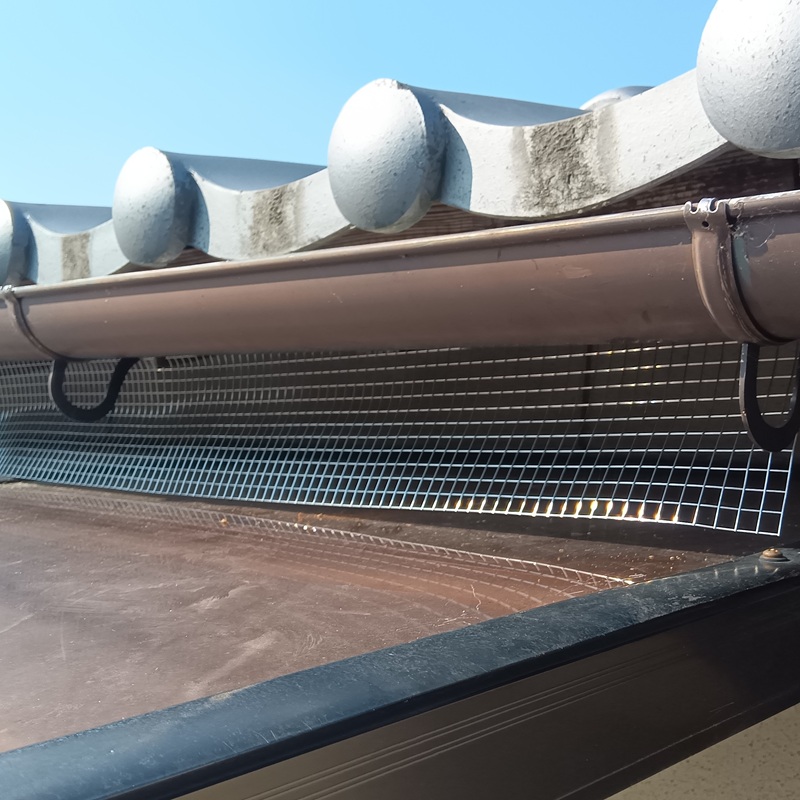 雨どい下に防鳥ネットを設置した様子