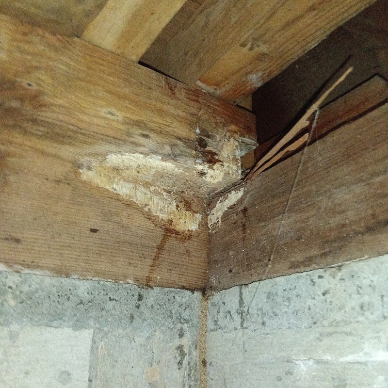 築年数30年のシロアリ駆除の施工事例（山形県長井市舟場）