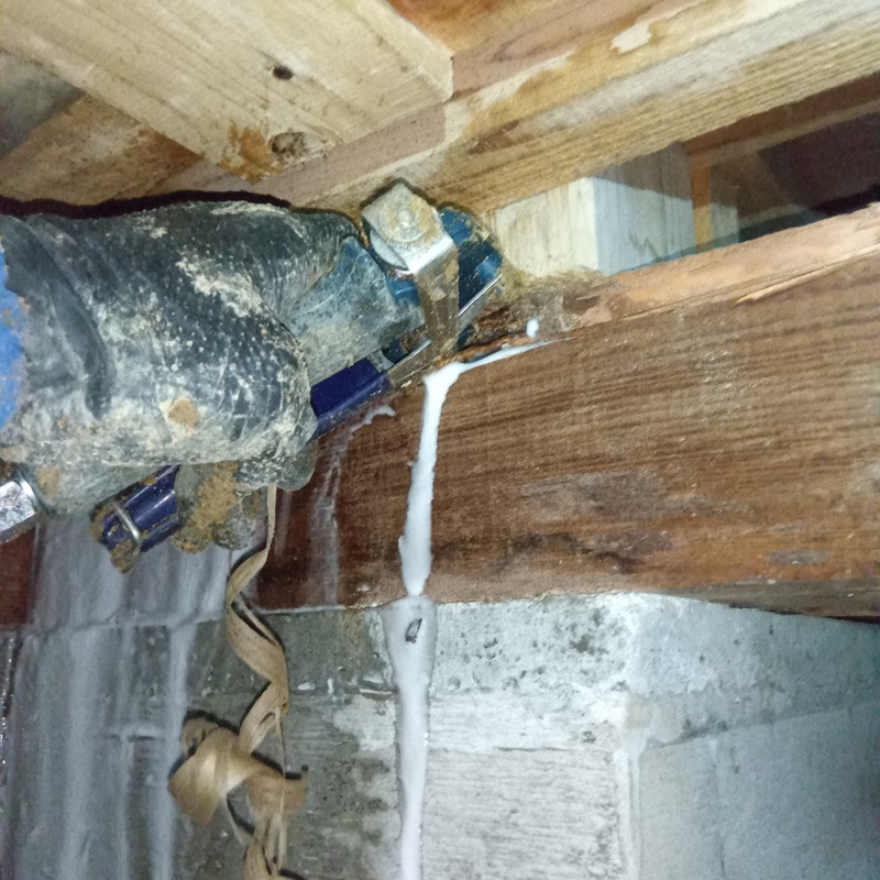 被害箇所の木部にシロアリ駆除剤を注入