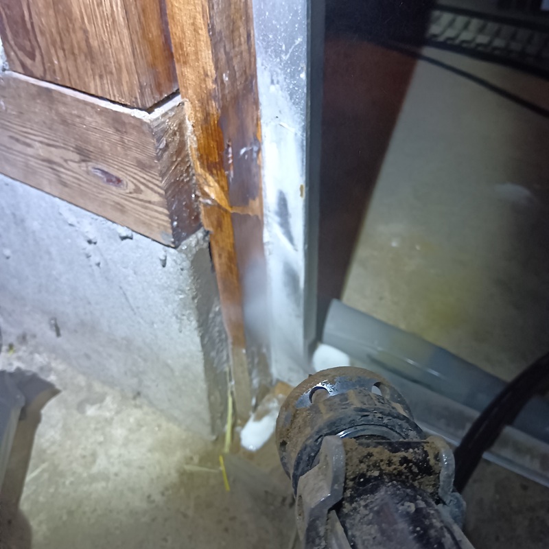 被害を受けた木部に駆除剤を散布