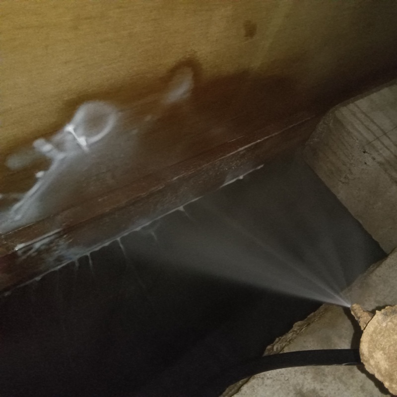 木部に防蟻剤を散布している様子