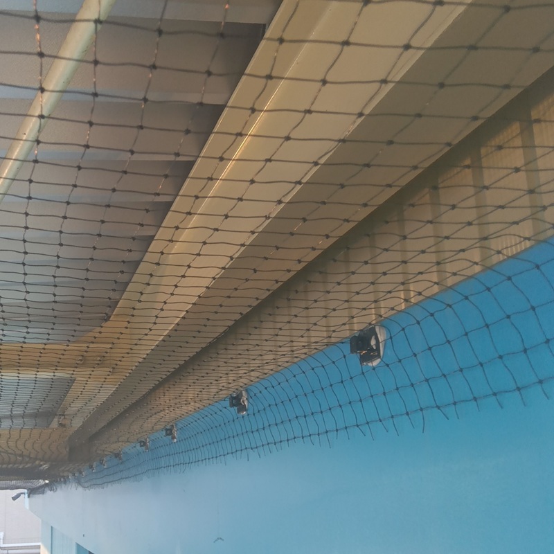 軒に防鳥ネットを設置