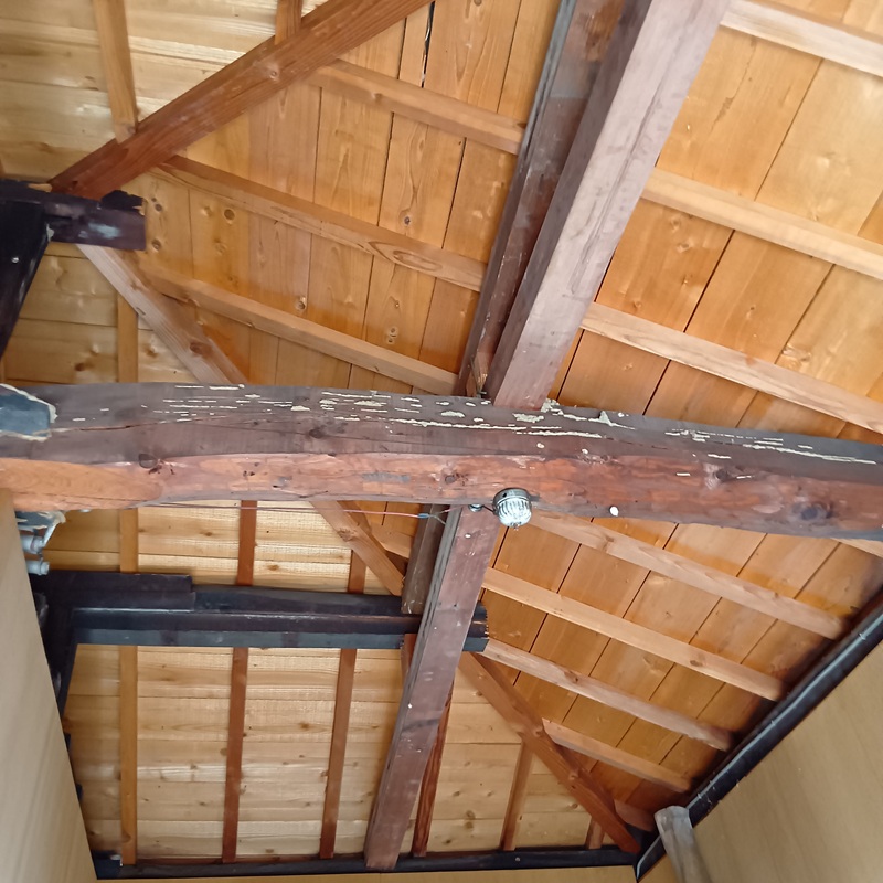 築年数30年のシロアリ駆除の施工事例（徳島県鳴門市撫養町岡崎）