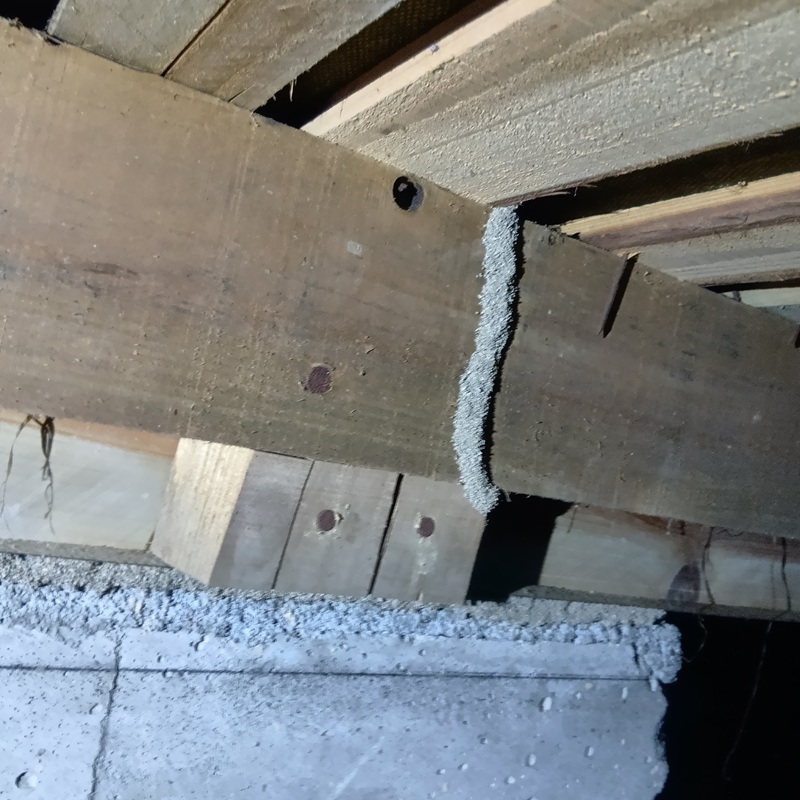 床下にできた蟻道