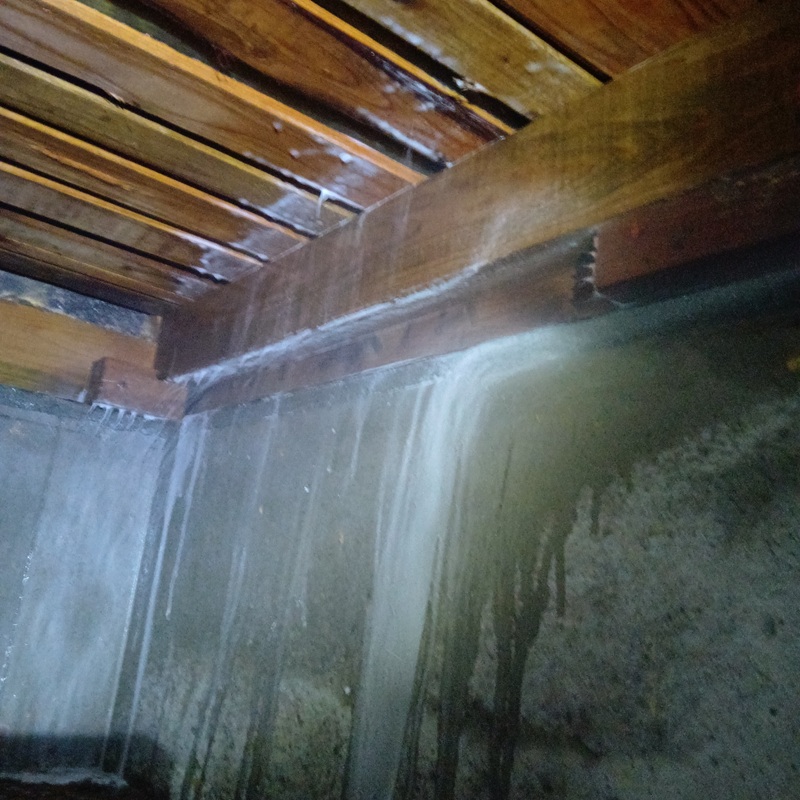 床下の木部にシロアリ駆除剤を吹き付け