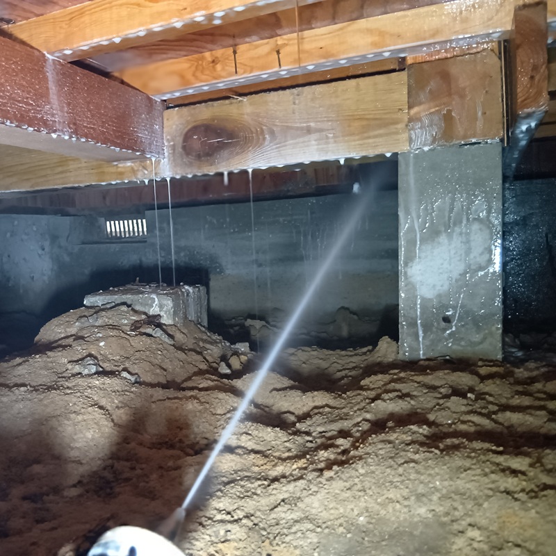 床下のシロアリ駆除剤散布の様子