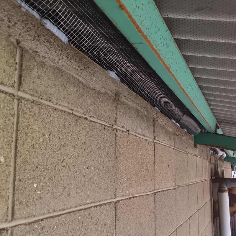 軒下に防鳥ネットを設置した様子