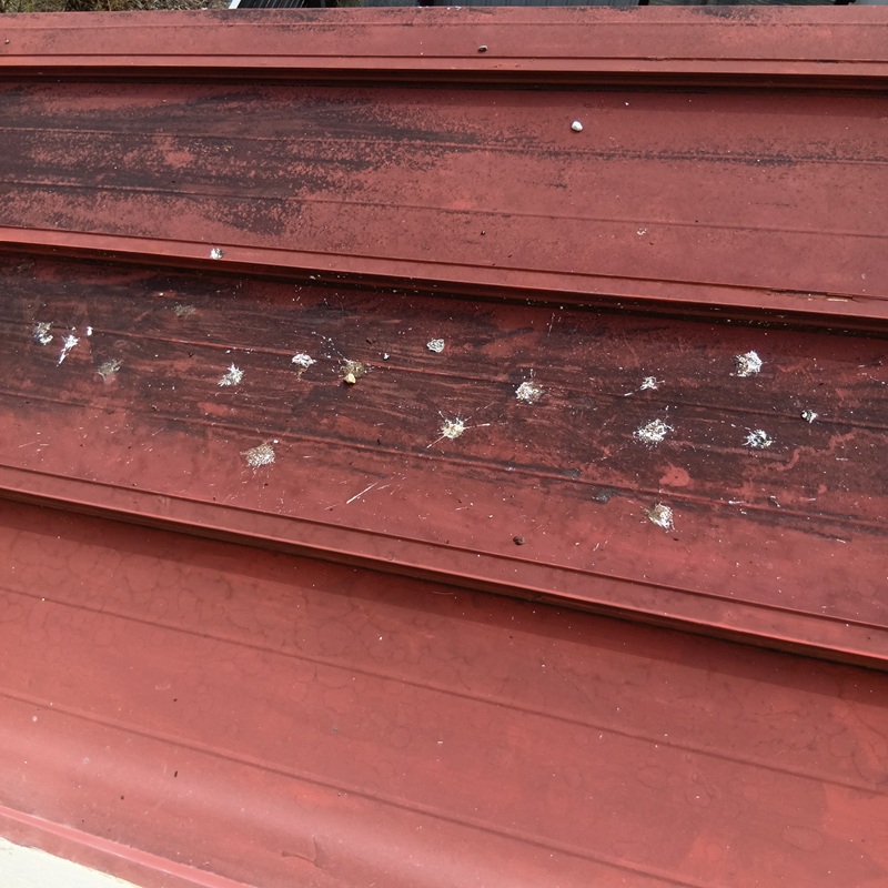 鳩対策の施工事例（岐阜県本巣郡北方町）