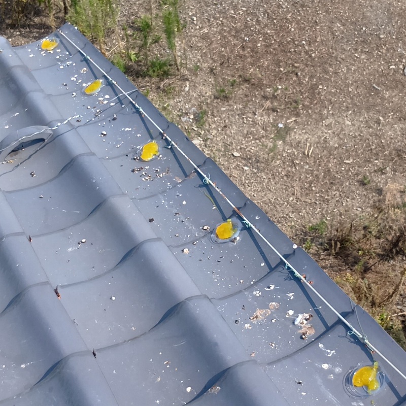 屋根に忌避剤を設置した様子