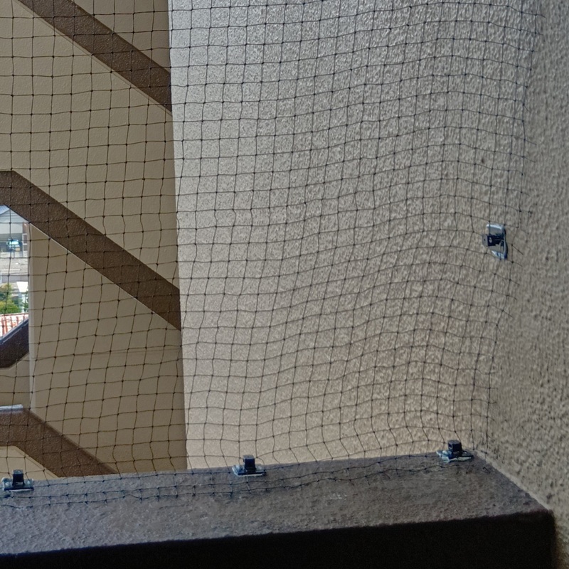 ベランダに防鳥ネットを取り付けた様子