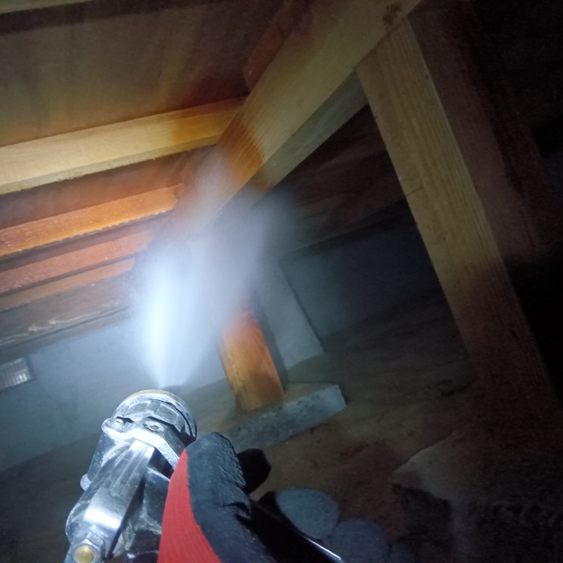 床下の木部処理の様子