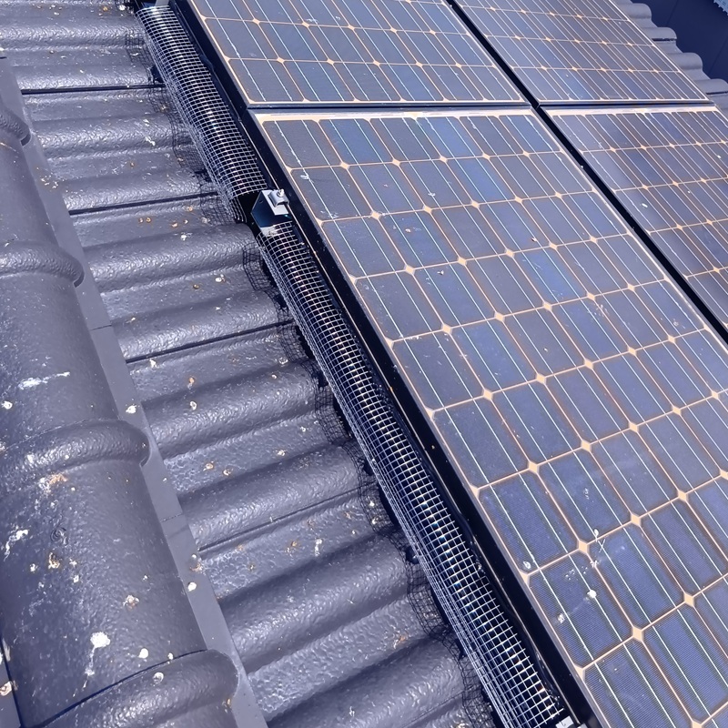 太陽光パネル下に金網を設置した様子