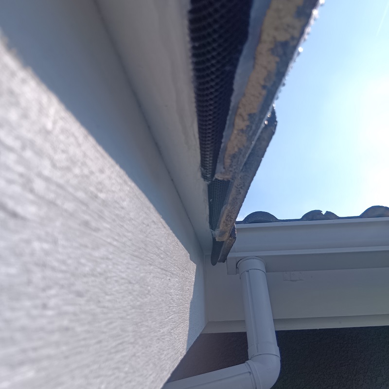 天井と屋根瓦のすき間も封鎖