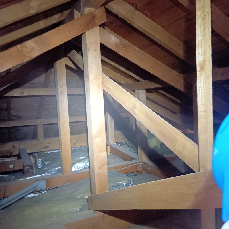 天井裏を除菌する様子