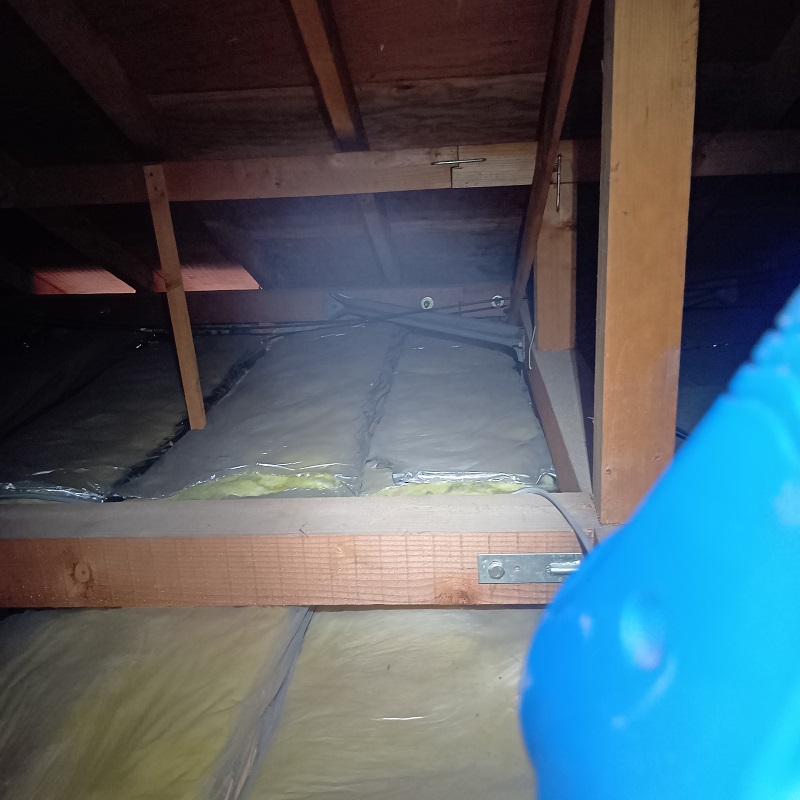 天井裏の殺虫処理の様子