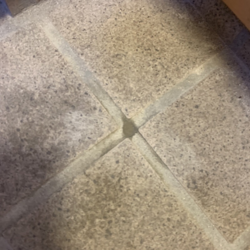 穴をふさいだ床の様子