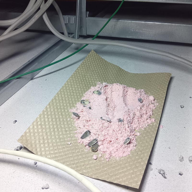 殺鼠剤を設置した様子