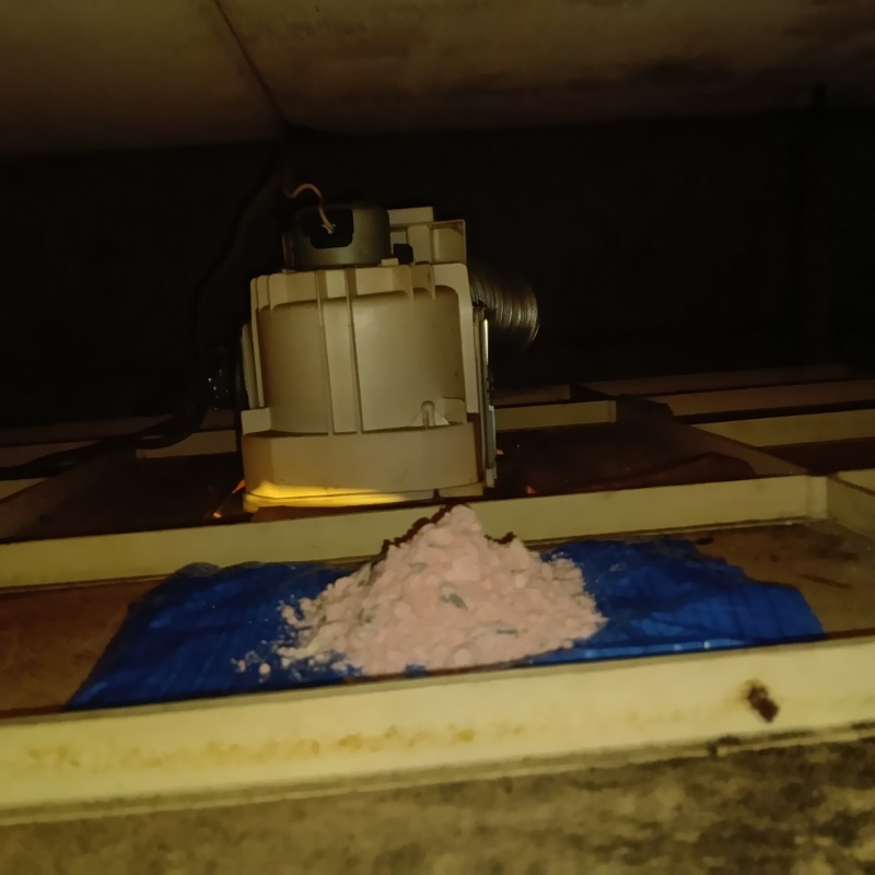 天井裏に殺鼠剤を設置した様子