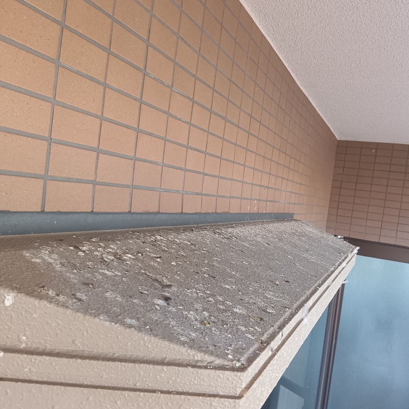 ベランダ出窓上のフン害状況