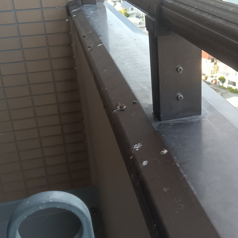 ベランダ手すりのフン害状況