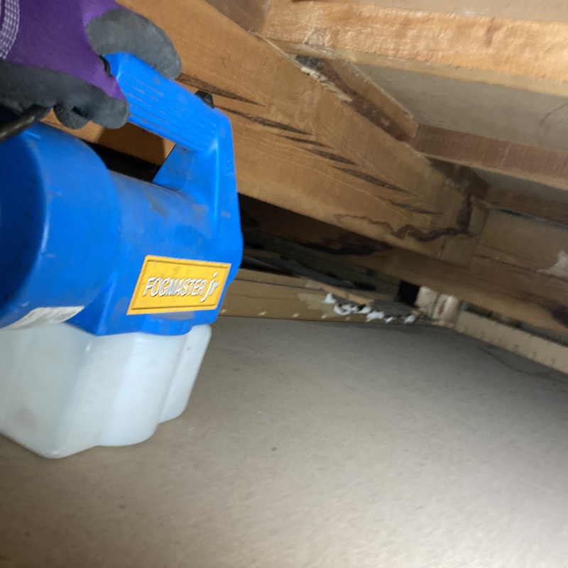 殺虫・消毒剤を散布する様子