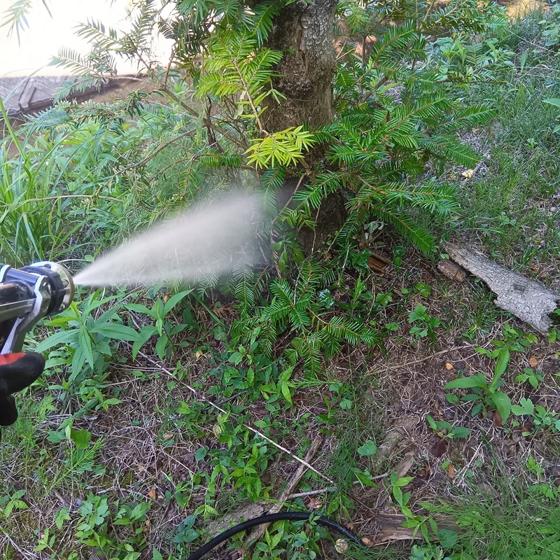 庭木に防蟻剤を散布